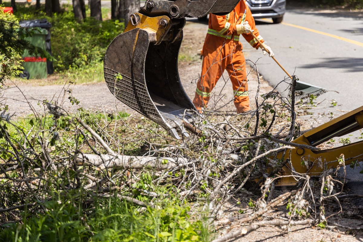 Storm Damage Cleanup Guide In 8 Steps